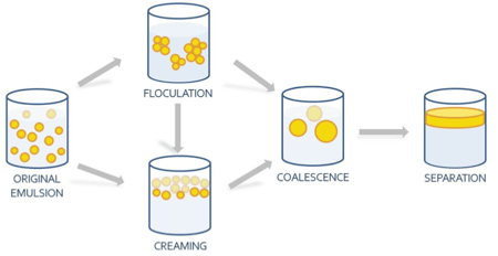 Main nanoemulsion destabilization pathways. 