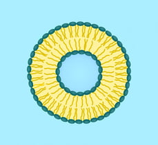 liposome-small.jpg