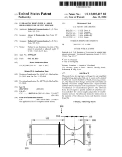 Patent 438P4165-US-B