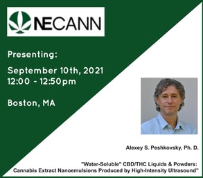 alexey peshkovsky ISM presenting at NECANN Boston MA