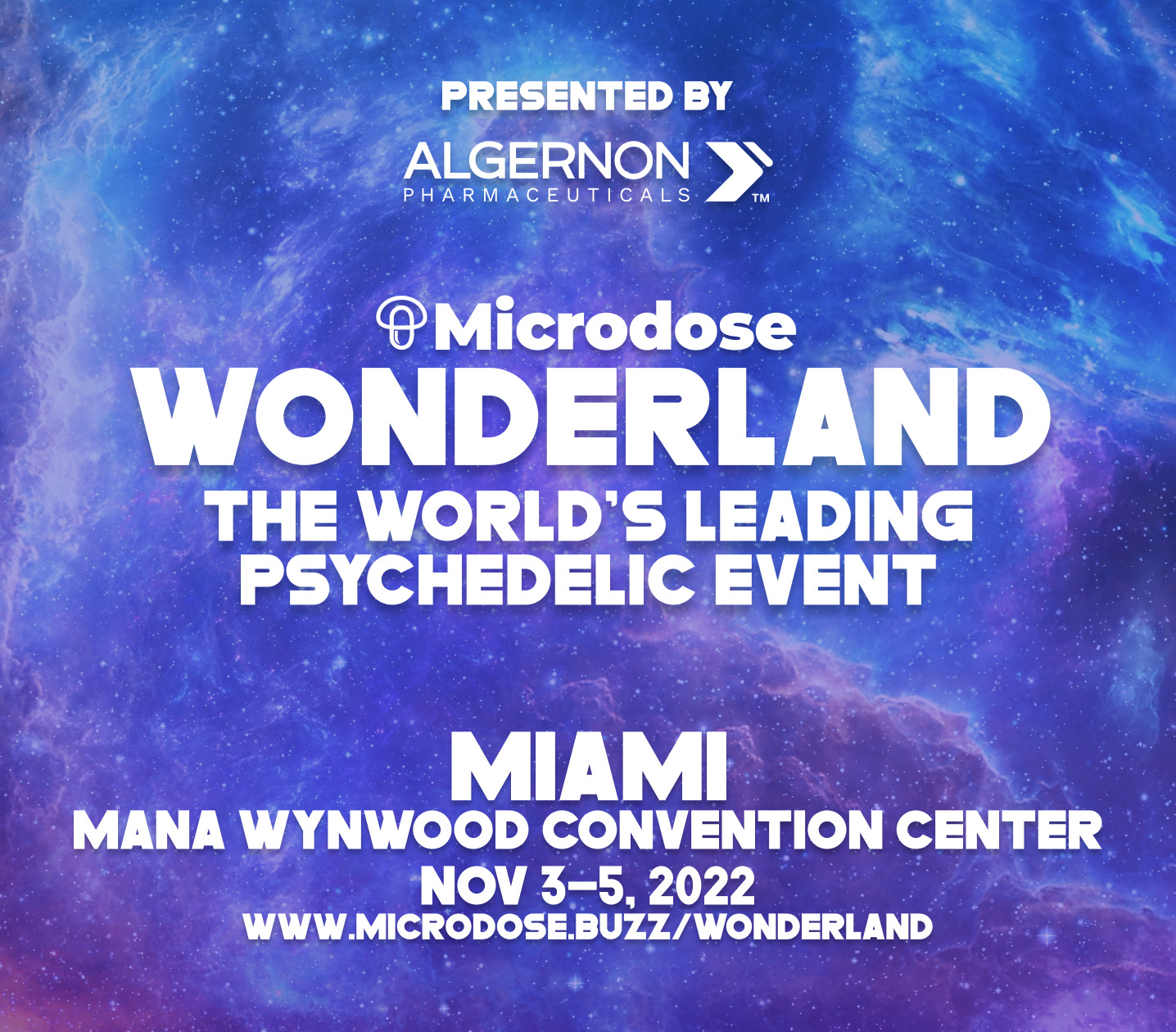 Alexey Peshkovsky speaking at Wonderland Miami 2022